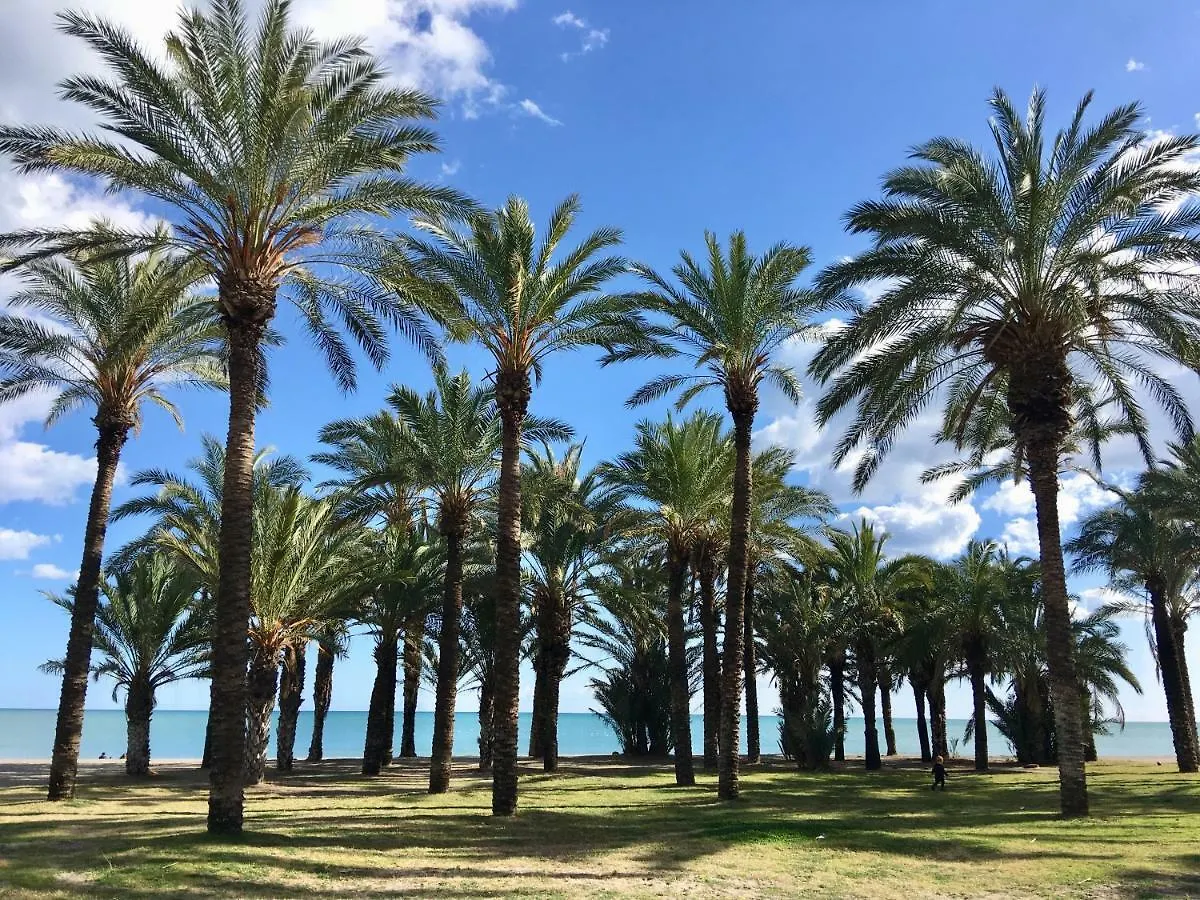 Apartamento New Central Studio Torremolinos